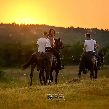 Hotel Ranc Harmonija