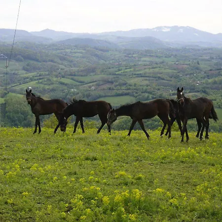 Ranc Harmonija 4* Valjevo
