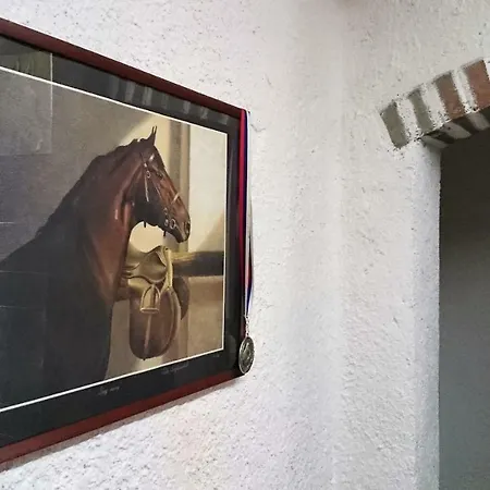 Ranc Harmonija 4*
